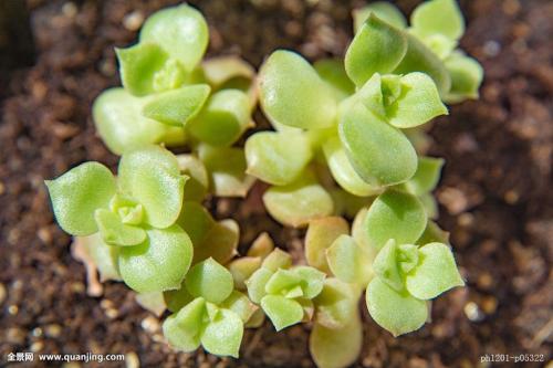 ȫ̱ջϺҽƻ¹ڿ